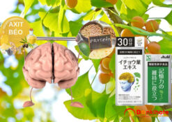 Bổ não Asahi 60 ngày