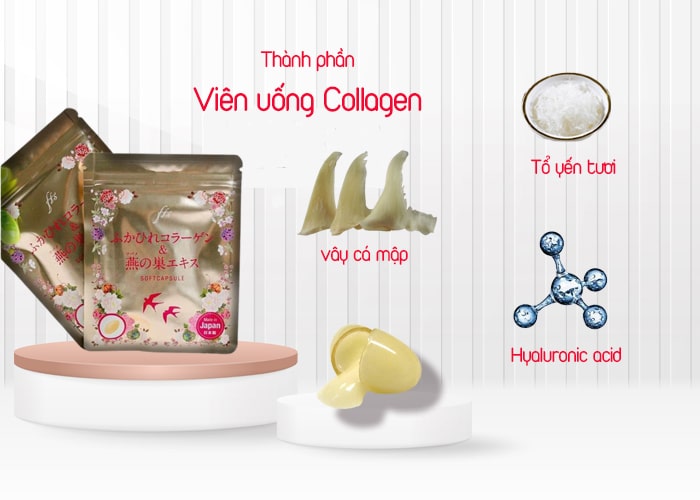 collagen yến tươi nhật bản