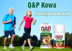 Q&P Kowa