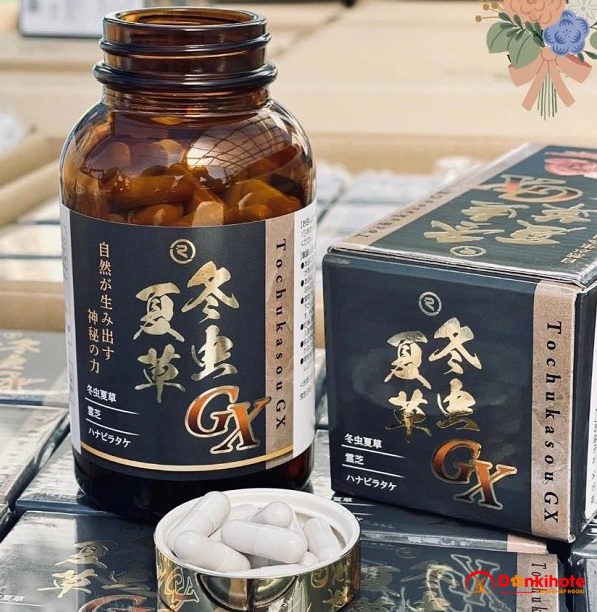 Đông trùng hạ thảo Tochukasou GX Reiperfect của Nhật Bản có tốt không?